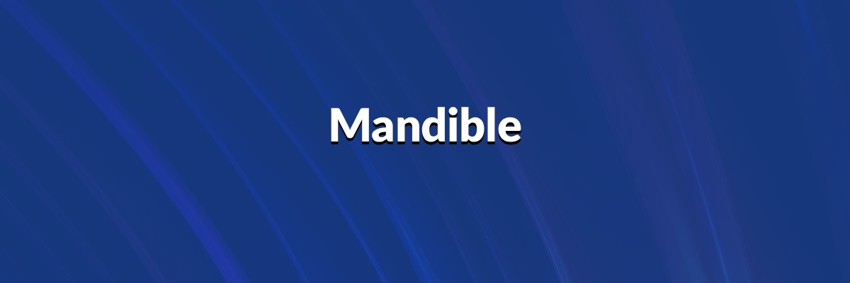 Mandible
