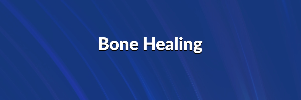 Bone Healing