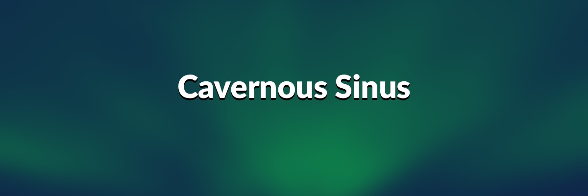 Cavernous Sinus