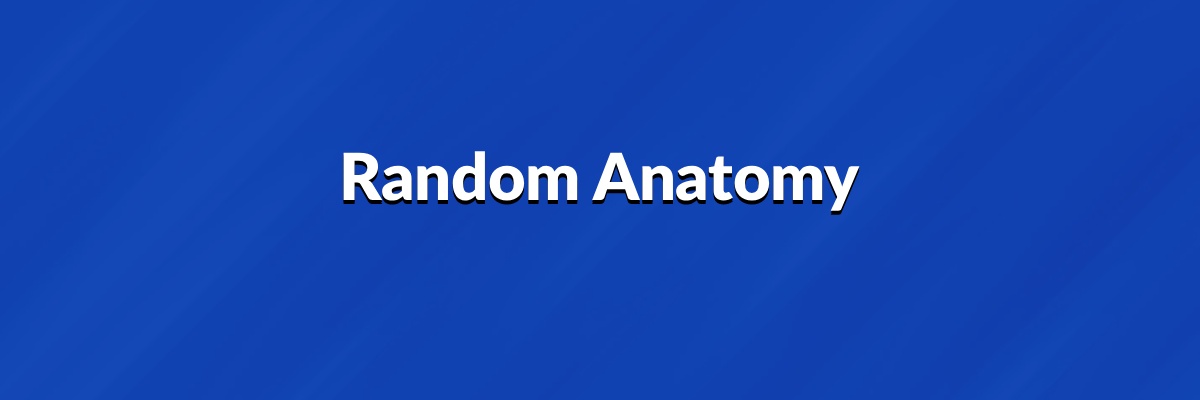 Random Anatomy