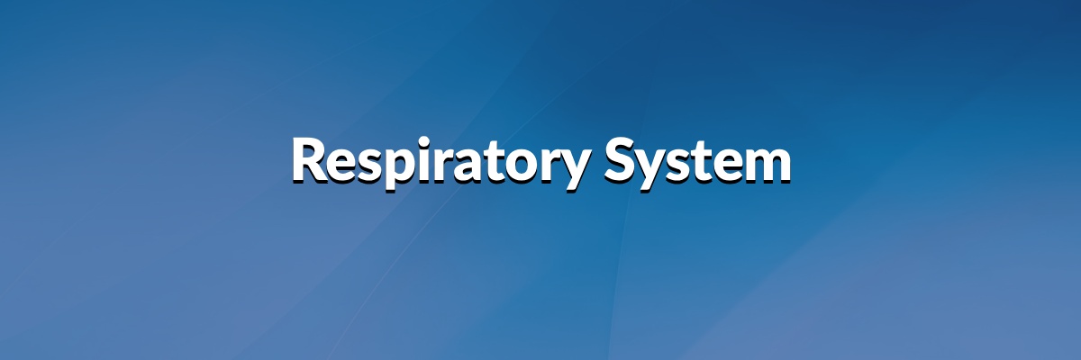 Respiratory System