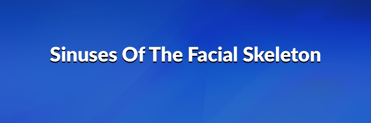 Sinuses of the Facial Skeleton
