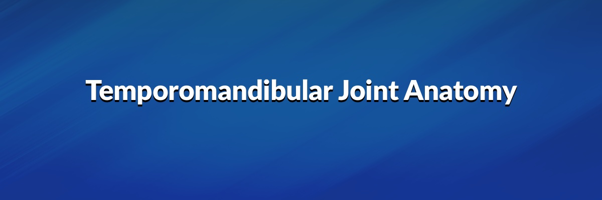 Temporomandibular Joint Anatomy