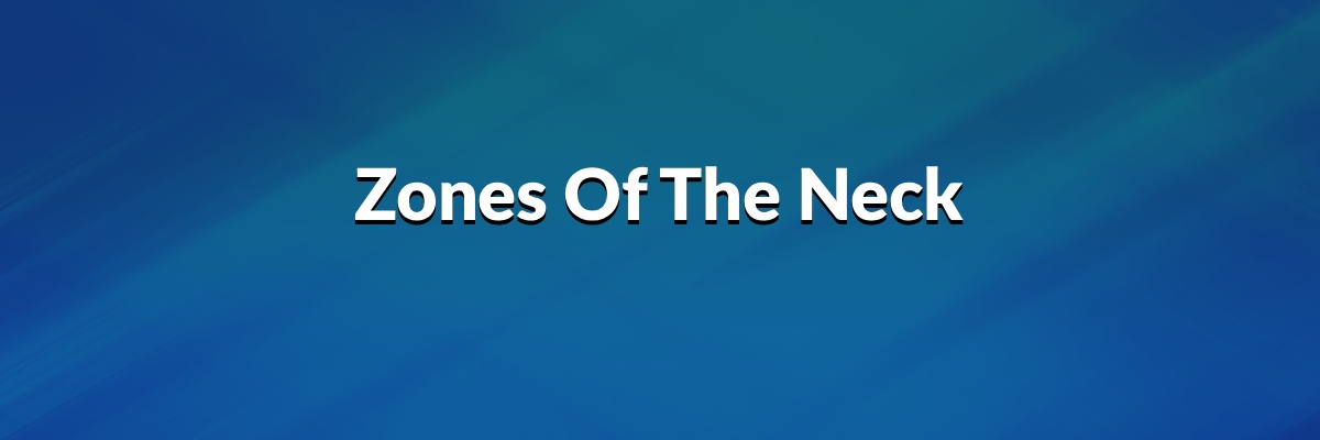 Zones Of The Neck 2