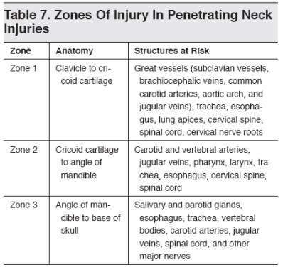 Zones of the neck