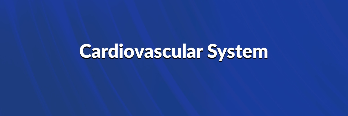 Cardiovascular System