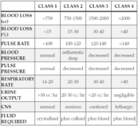 Classes of Hemorrhage - Dr. Paul Mirdamadi DDS